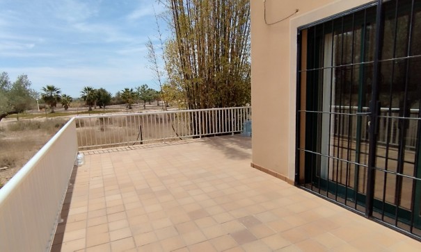 Sale - Finca Country Property -
Elche