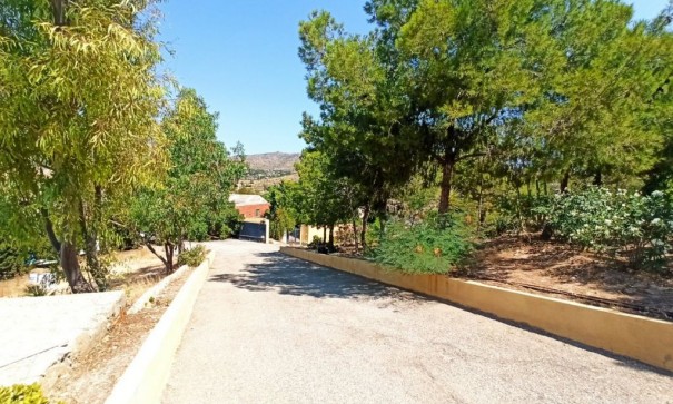 Sale - Finca Country Property -
San Vicente del Raspeig - SAN VICENT DEL RASPEIG