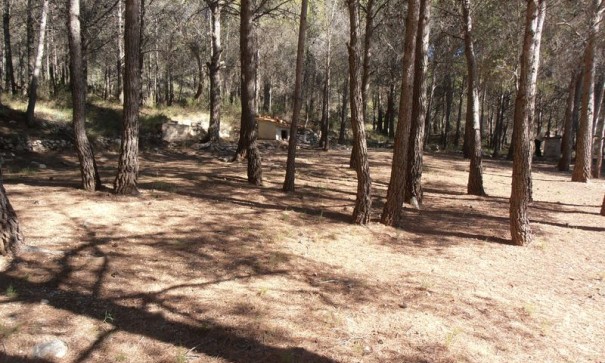 Resale - Finca Landgut -
Castalla