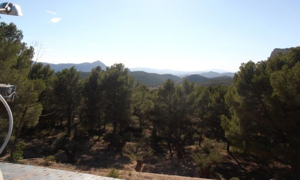 Resale - Finca Landgut -
Castalla