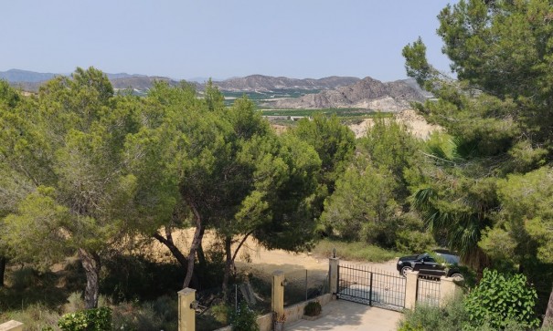 Sale - Finca Country Property -
Cañadas de San Pedro - CAÃADA DE SAN PEDRO