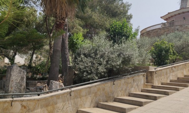 Sale - Finca Country Property -
Cañadas de San Pedro - CAÃADA DE SAN PEDRO