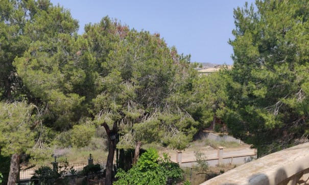 Sale - Finca Country Property -
Cañadas de San Pedro - CAÃADA DE SAN PEDRO