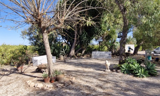 Venta - Finca Propiedad rural -
Elche