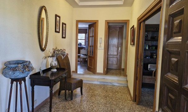 Venta - Finca Propiedad rural -
Elche