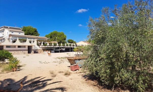 Venta - Finca Propiedad rural -
Almoradí