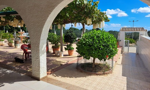 Venta - Finca Propiedad rural -
Almoradí