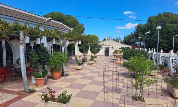 Venta - Finca Propiedad rural -
Almoradí