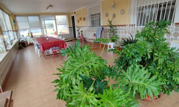 Revente - Finca Propriété rurale -
Crevillente