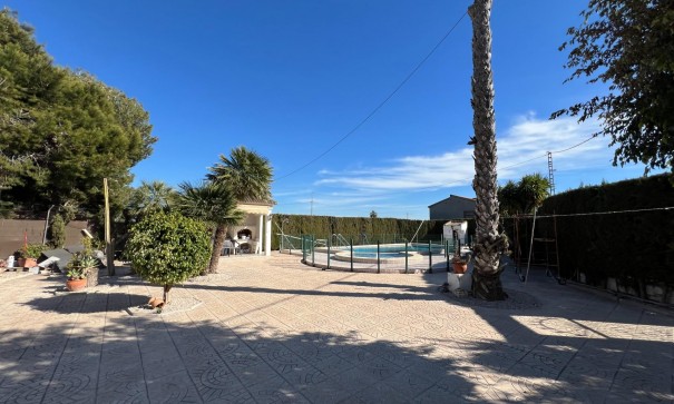 Sale - Finca Country Property -
Dolores