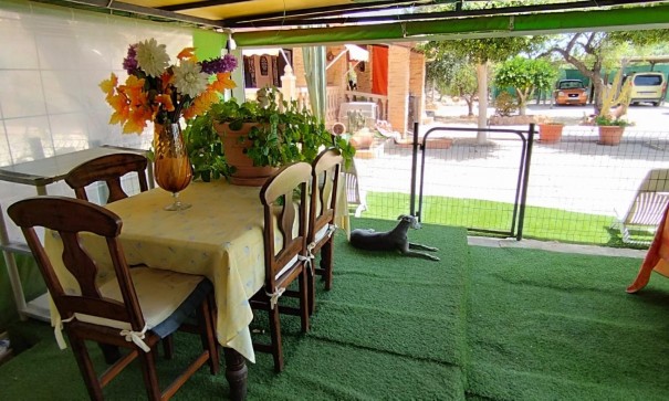 Sprzedaż - Finca nieruchomość wiejska -
Elche