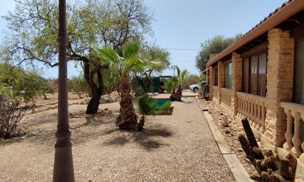 Sprzedaż - Finca nieruchomość wiejska -
Elche