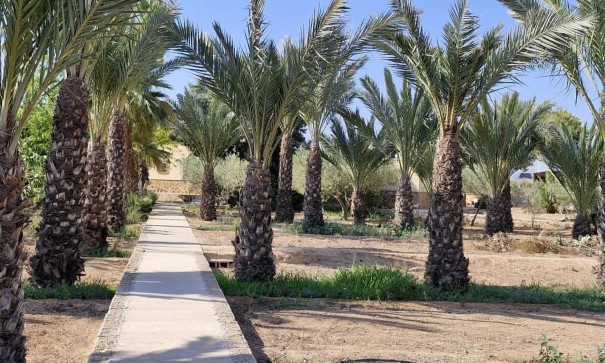 Sale - Finca Country Property -
Elche