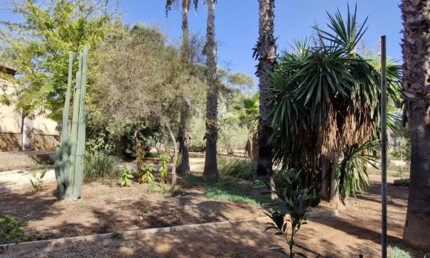 Sale - Finca Country Property -
Elche