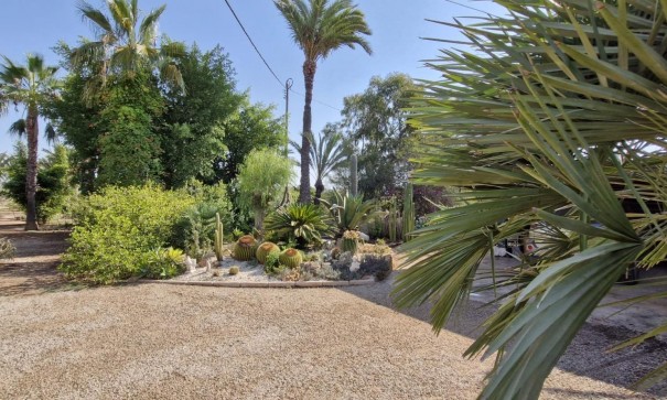 Sale - Finca Country Property -
Elche