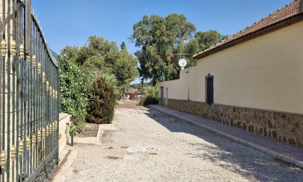 Sale - Finca Country Property -
Elche