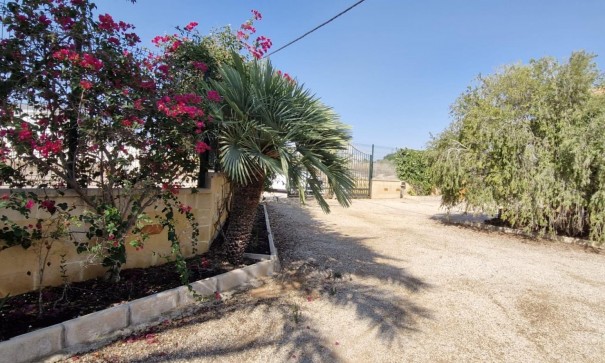 Sale - Finca Country Property -
Elche