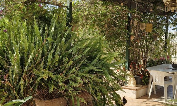 Sale - Finca Country Property -
Elche