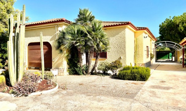 Återförsäljning - Finca lantlig egendom -
Elche