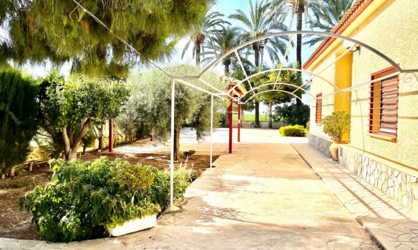 Återförsäljning - Finca lantlig egendom -
Elche