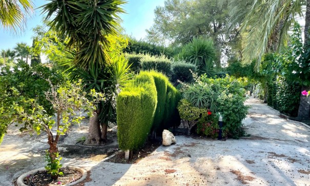 Återförsäljning - Finca lantlig egendom -
Elche