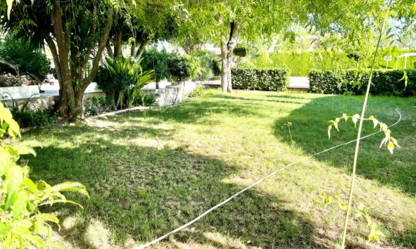 Återförsäljning - Finca lantlig egendom -
Elche