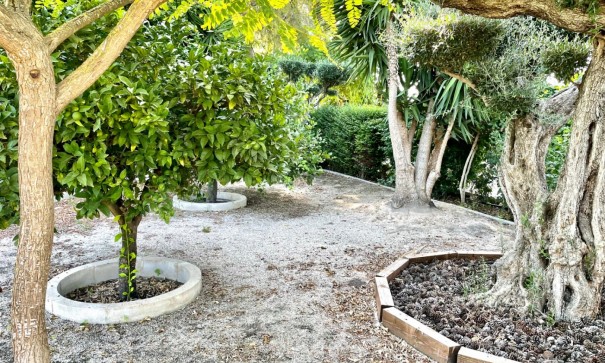 Återförsäljning - Finca lantlig egendom -
Elche