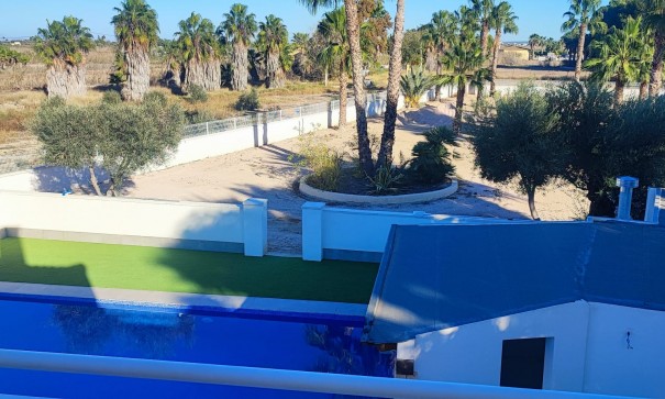 Revente - Finca Propriété rurale -
Catral