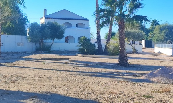 Revente - Finca Propriété rurale -
Catral