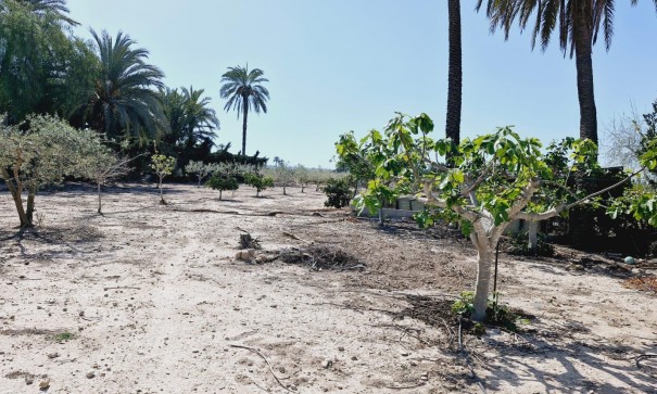 Videresalg - Finca landejendom -
Elche