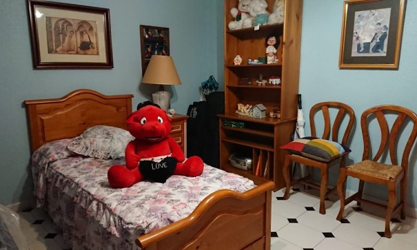 Herverkoop - Finca Landelijk pand -
Elche