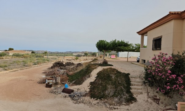 Resale - Finca Landgut -
Novelda