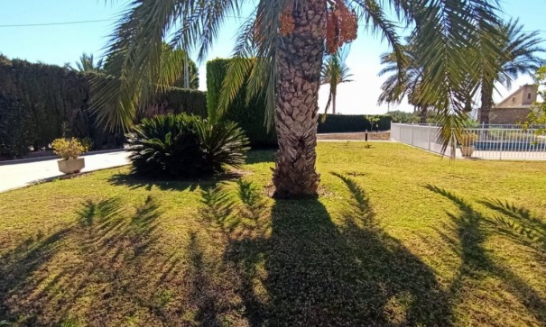 Sprzedaż - Finca nieruchomość wiejska -
Elche