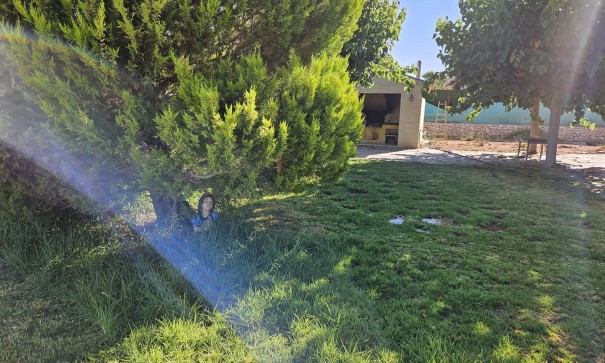 Resale - Finca Landgut -
Novelda