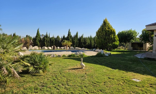Resale - Finca Landgut -
Novelda