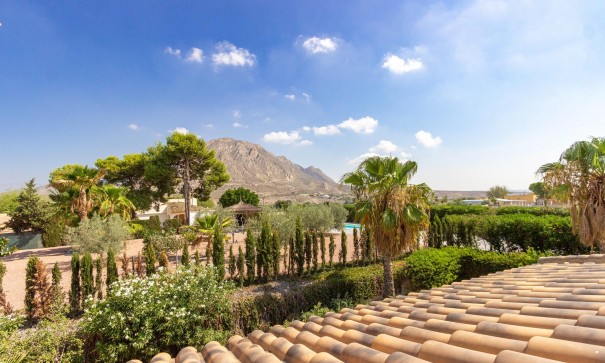 Resale - Freistehende Villa -
El Rebolledo