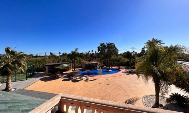 Venta - Finca Propiedad rural -
Elche