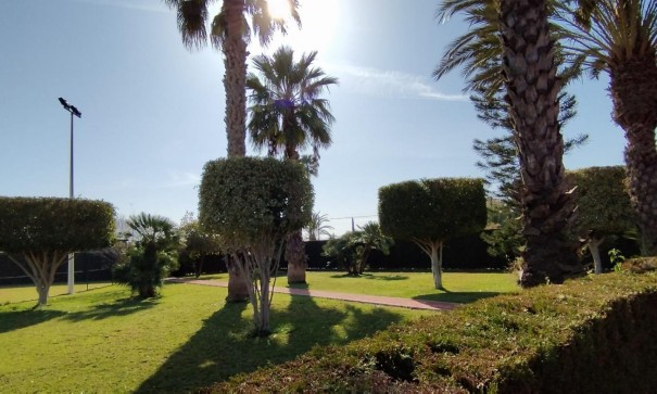 Herverkoop - Finca Landelijk pand -
Elche