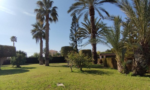 Herverkoop - Finca Landelijk pand -
Elche