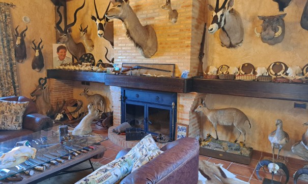 Återförsäljning - Finca lantlig egendom -
Salinas