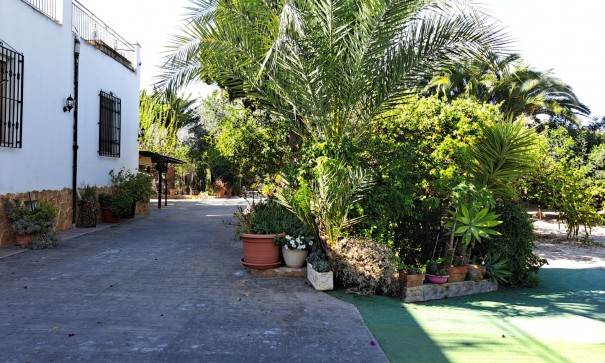 Venta - Finca Propiedad rural -
Orihuela