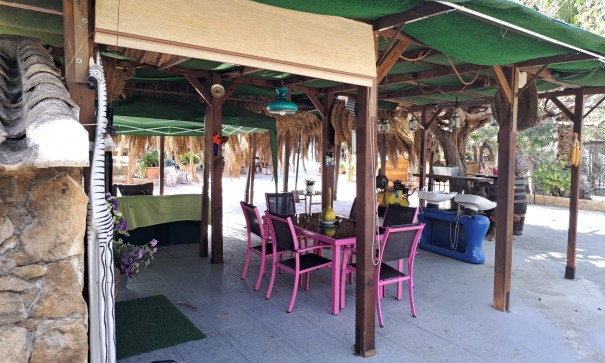 Venta - Finca Propiedad rural -
Orihuela