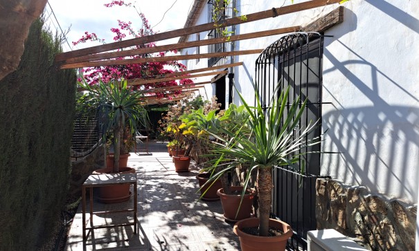 Venta - Finca Propiedad rural -
Orihuela