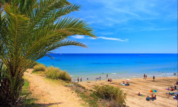 Obra Nueva - Chalet Independiente -
Cabo Roig