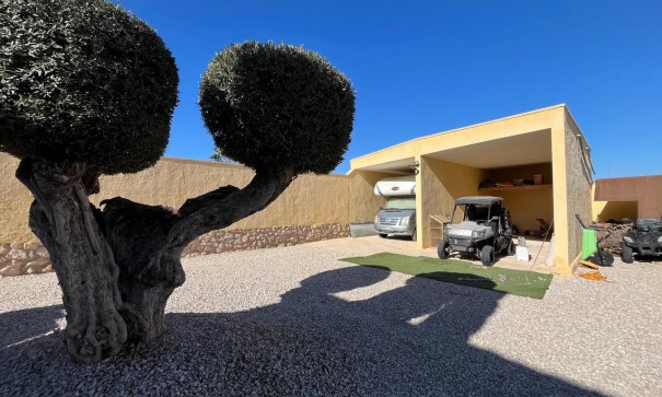 Revente - Finca Propriété rurale -
Fortuna