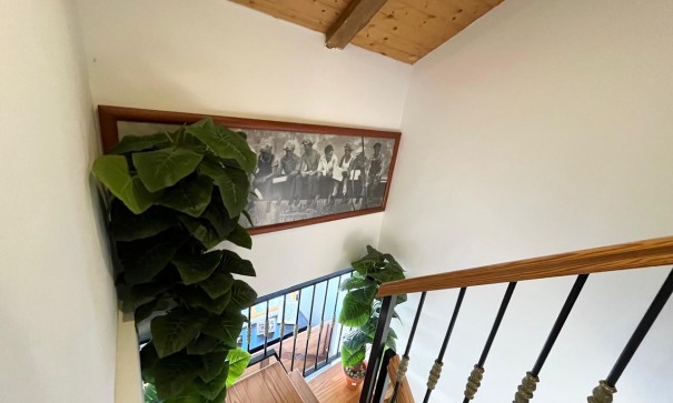 Revente - Finca Propriété rurale -
Fortuna