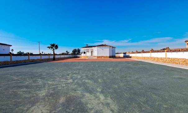 Venta - Finca Propiedad rural -
Catral