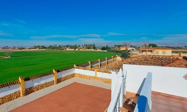 Venta - Finca Propiedad rural -
Catral