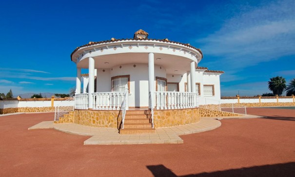 Venta - Finca Propiedad rural -
Catral