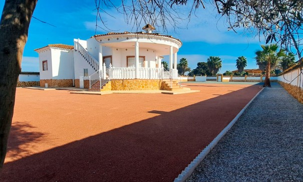 Venta - Finca Propiedad rural -
Catral